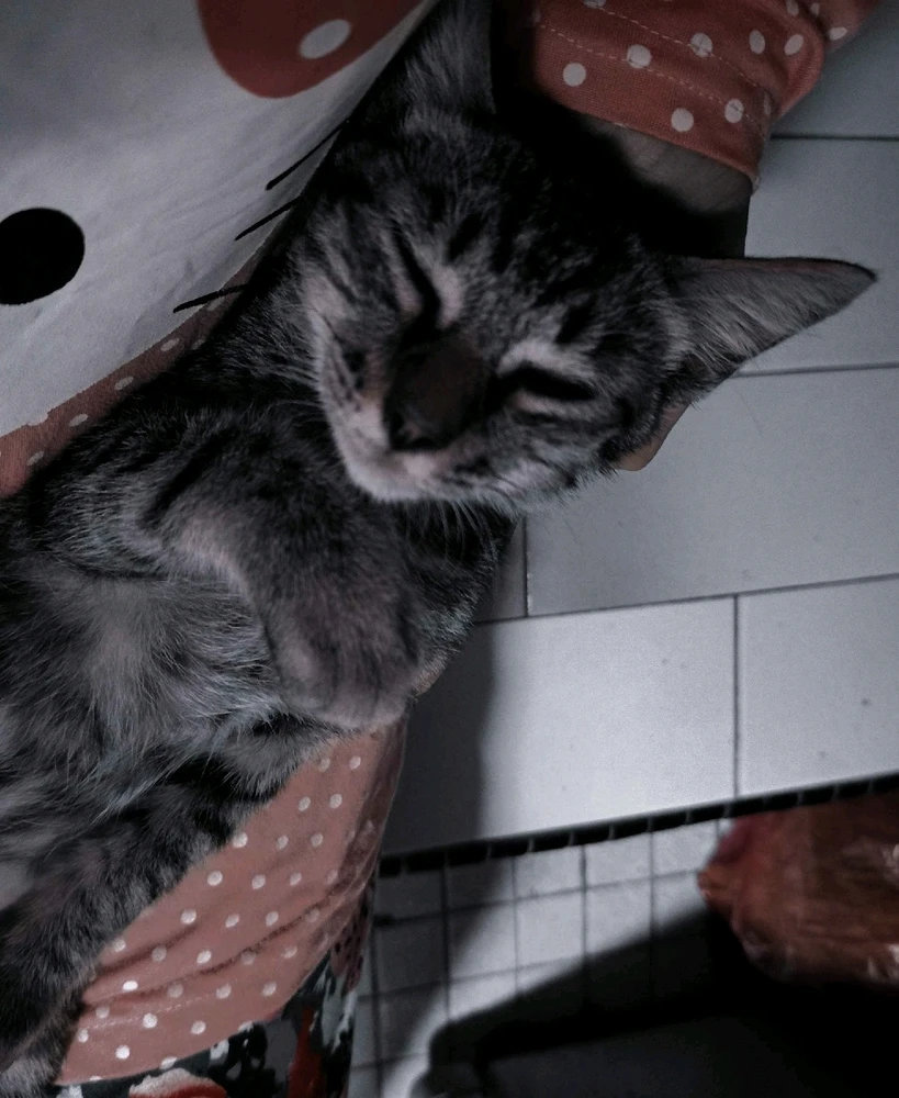 Image uploaded by 🦇𝐸𝓇𝒾