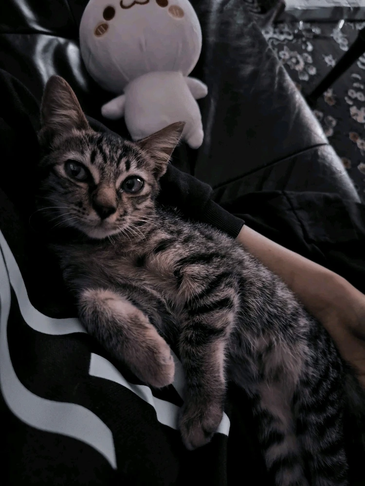 Image uploaded by 🦇𝐸𝓇𝒾