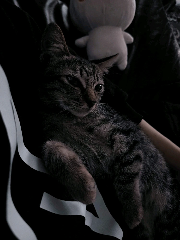 Image uploaded by 🦇𝐸𝓇𝒾