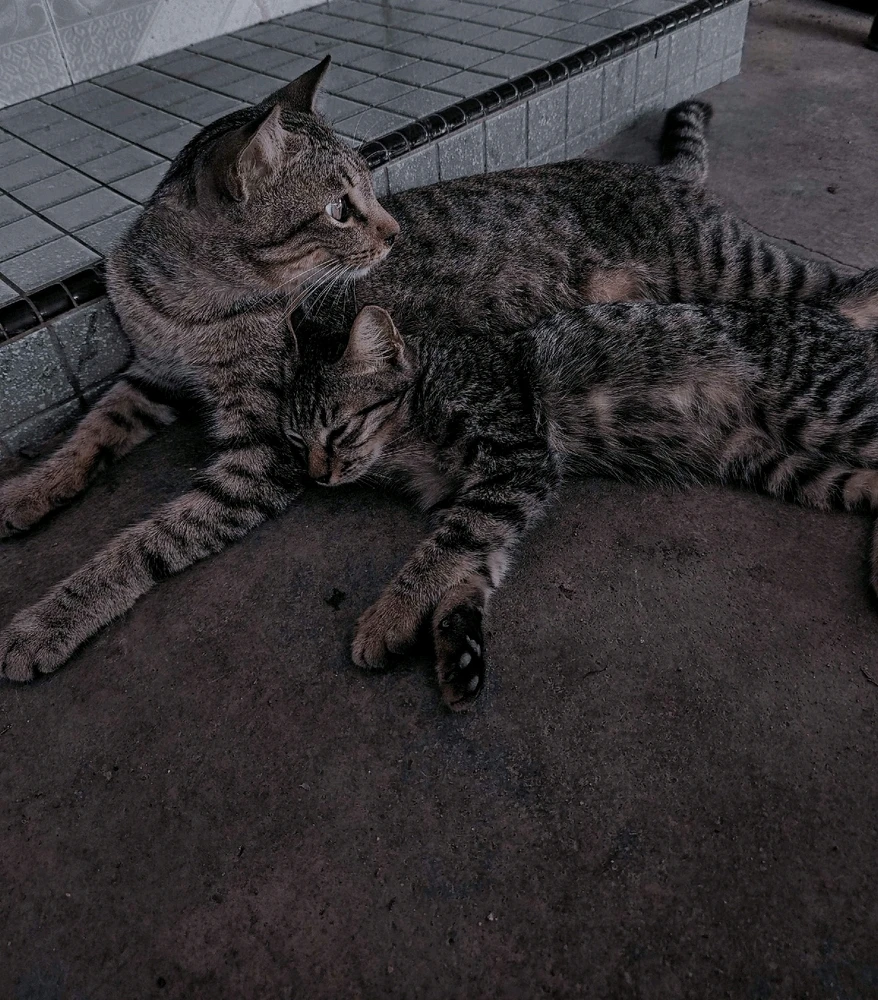 Image uploaded by 🦇𝐸𝓇𝒾