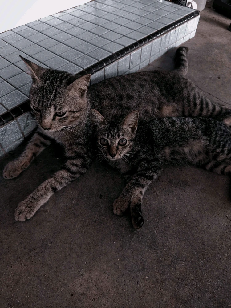 Image uploaded by 🦇𝐸𝓇𝒾