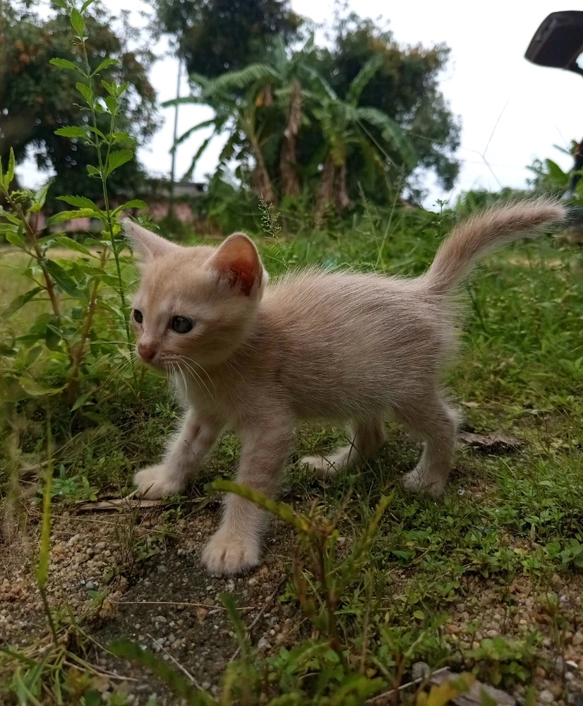 Image uploaded by 🦇𝐸𝓇𝒾