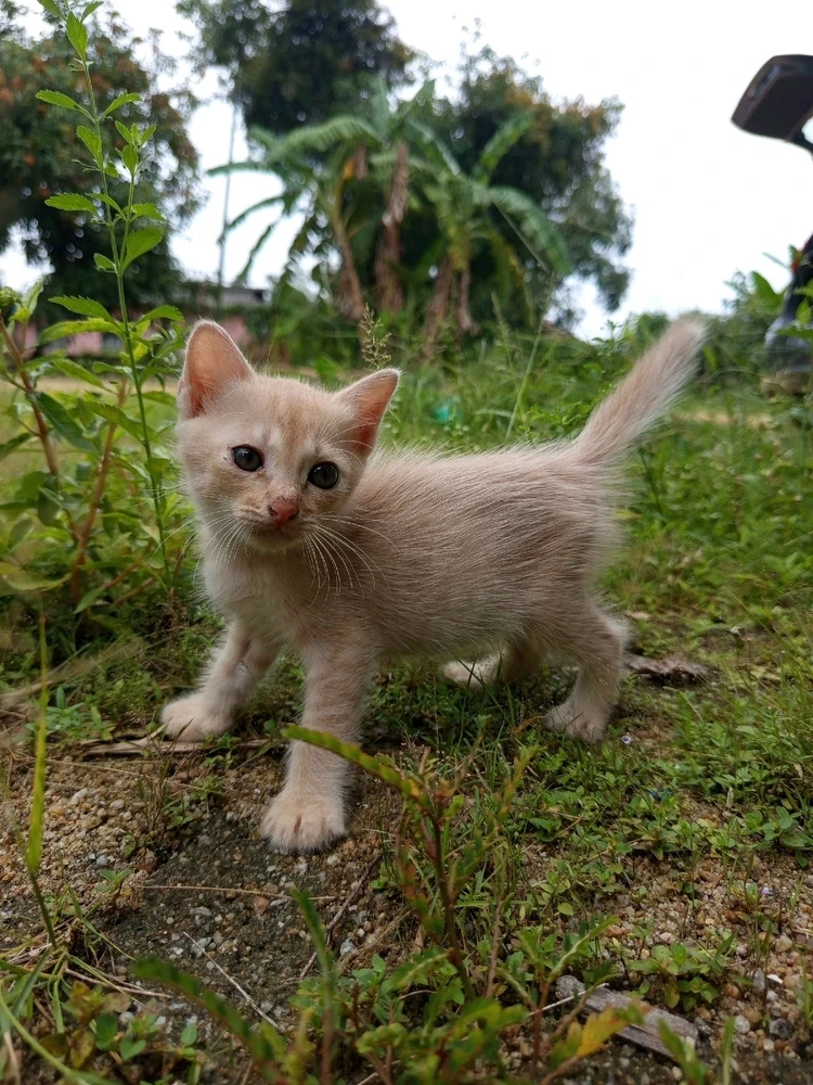 Image uploaded by 🦇𝐸𝓇𝒾