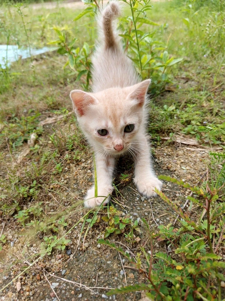 Image uploaded by 🦇𝐸𝓇𝒾