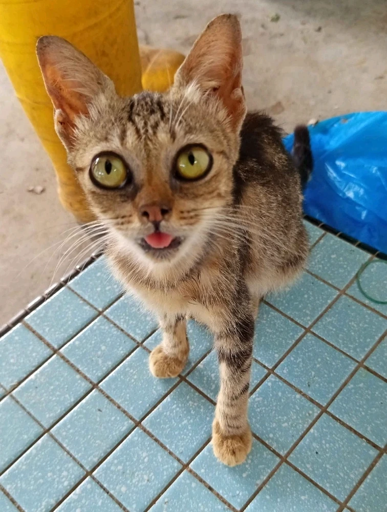 Image uploaded by 🦇𝐸𝓇𝒾