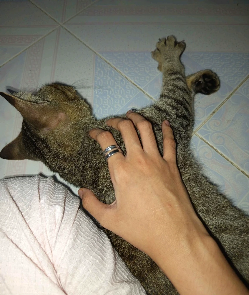 Image uploaded by 🦇𝐸𝓇𝒾