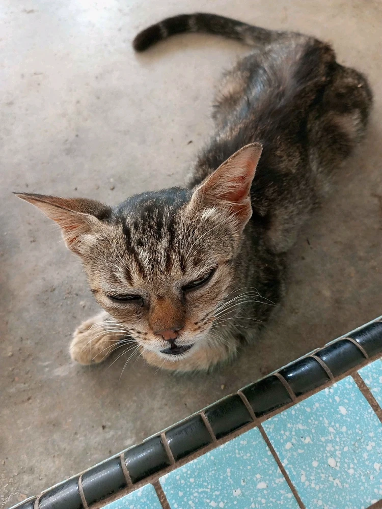 Image uploaded by 🦇𝐸𝓇𝒾