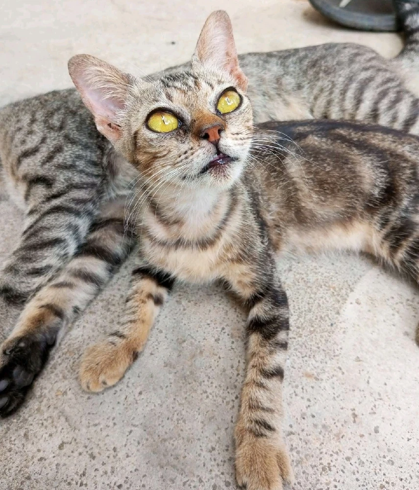 Image uploaded by 🦇𝐸𝓇𝒾