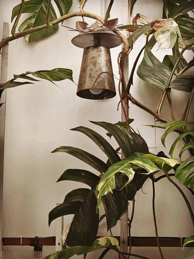 GIF được Khai tải lên