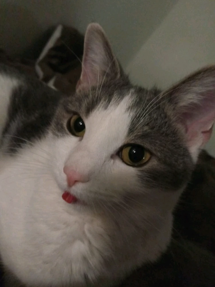 Image uploaded by Tiera