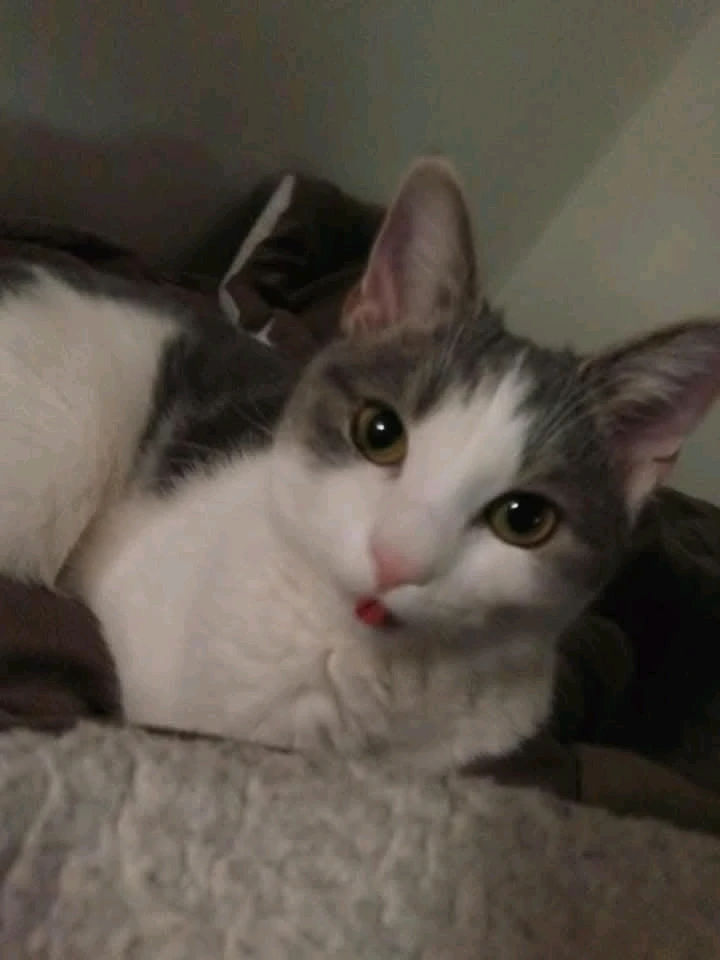 Image uploaded by Tiera