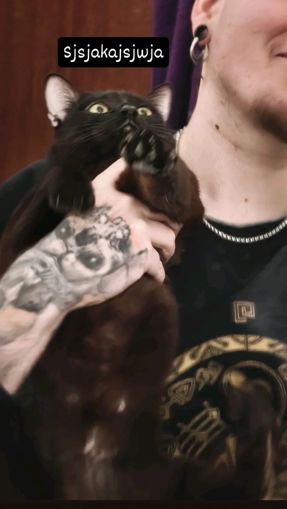 GIF uploaded by Bryan