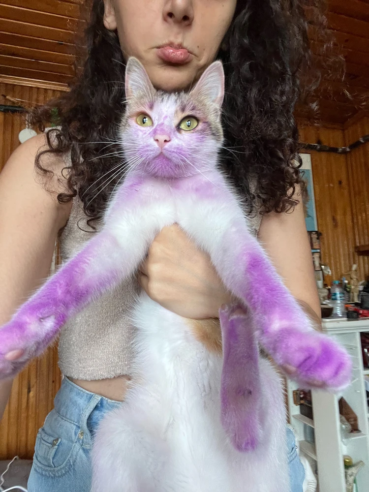 GIF uploaded by Simya