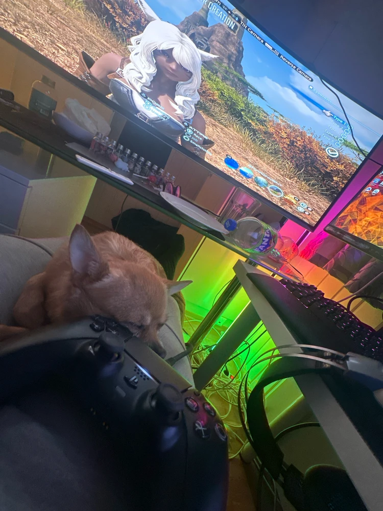 Image uploaded by Kristoffer