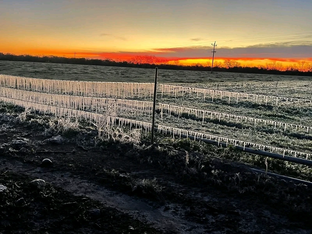 Image uploaded by Dan