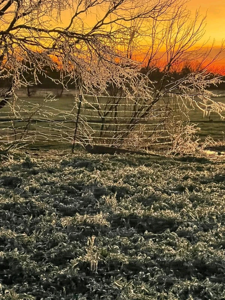 Image uploaded by Dan