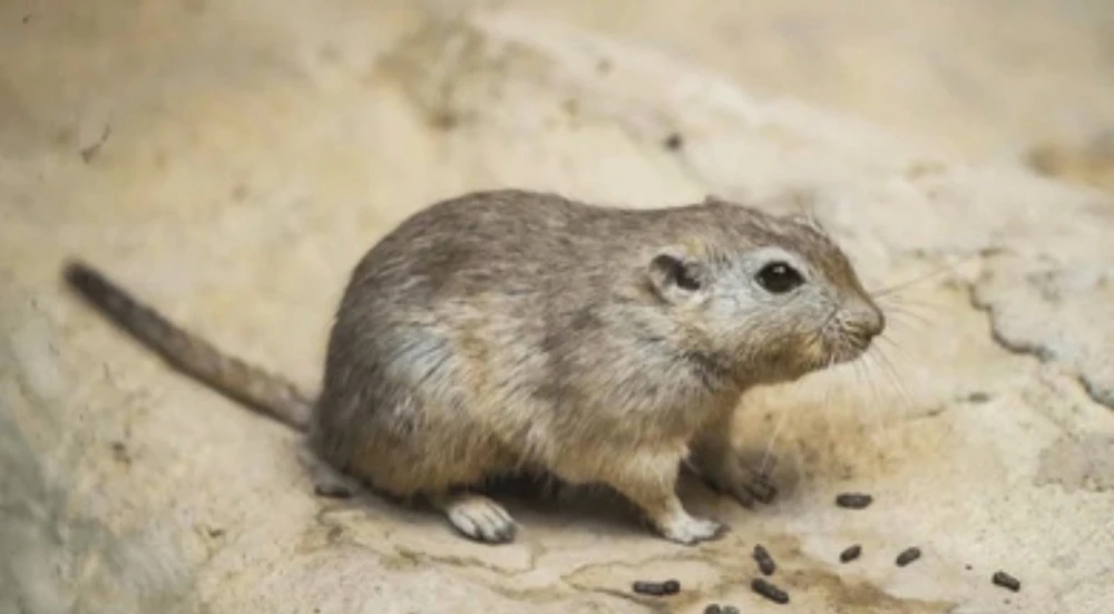 GIF uploaded by Jason