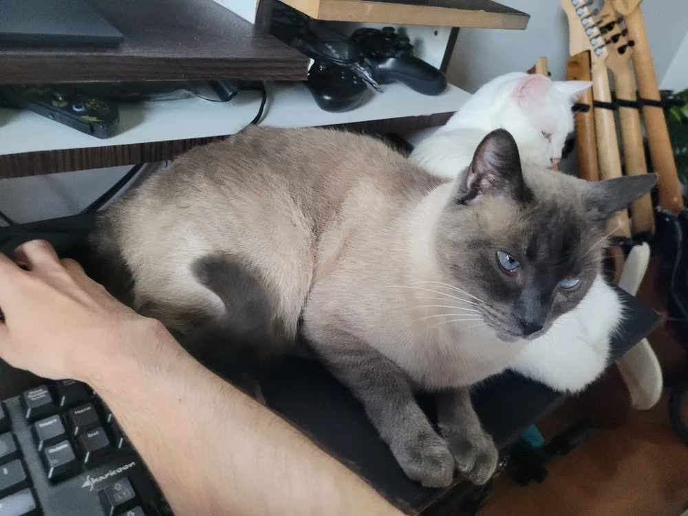 GIF enviado por Danilo