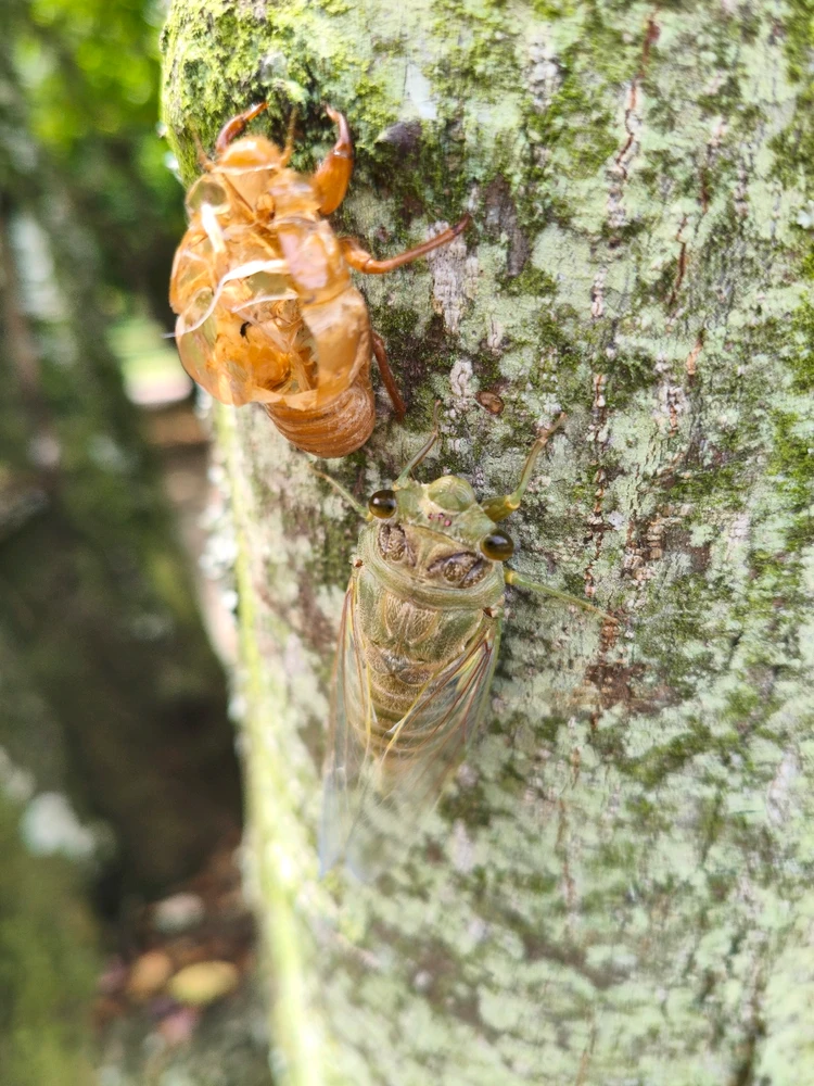 GIF uploaded by Juan Daniel