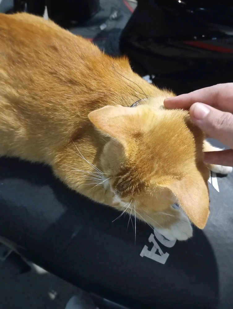 Image uploaded by Inez