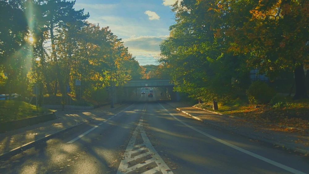 Image uploaded by Dess