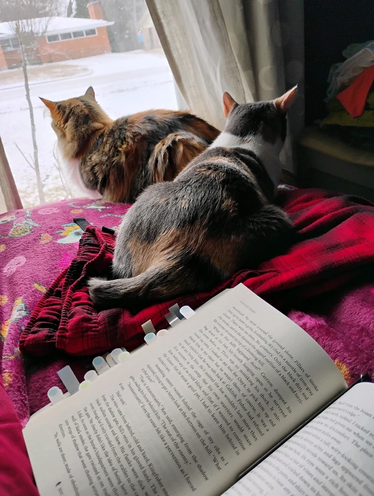 GIF uploaded by Adam