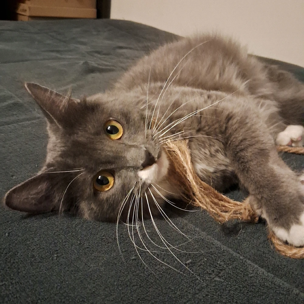 Imagen subida por Chris