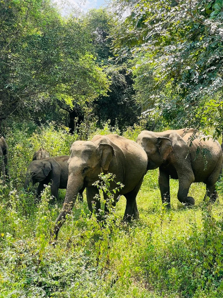 GIF uploaded by Purusoth