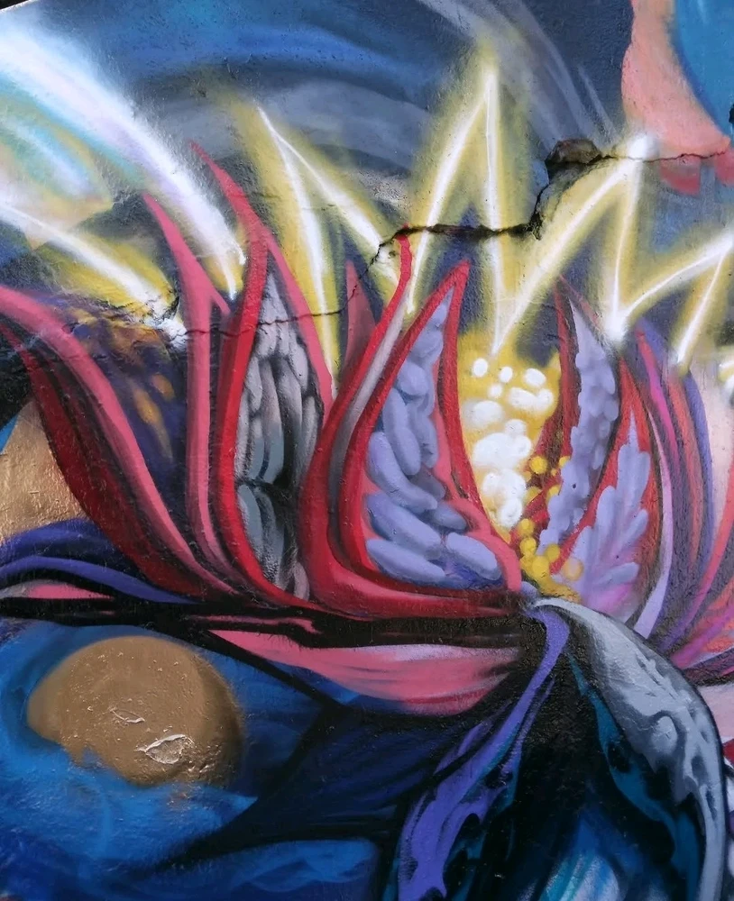 GIF uploaded by Javie