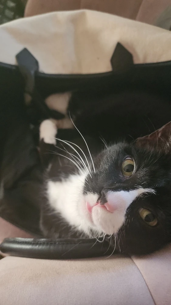 Image uploaded by Christina