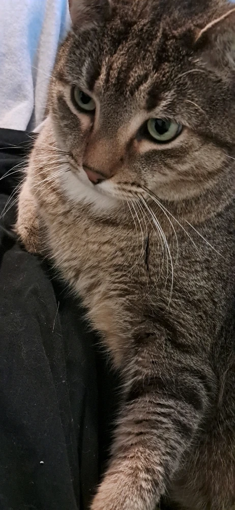 GIF uploaded by Holly