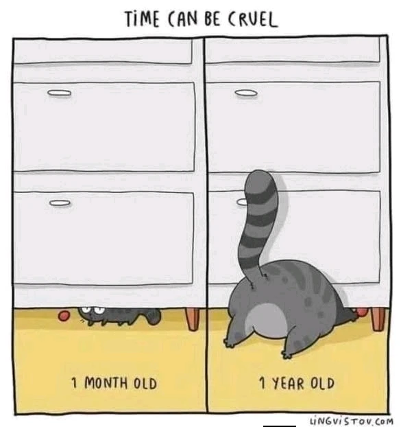 GIF uploaded by Nathalie