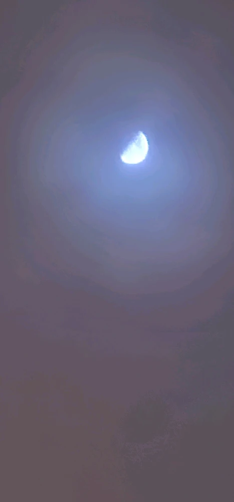 Image uploaded by Tor Helge