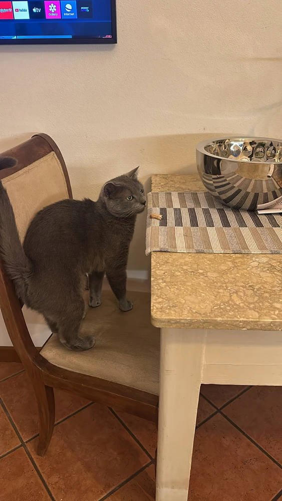 GIF caricata da Francesca