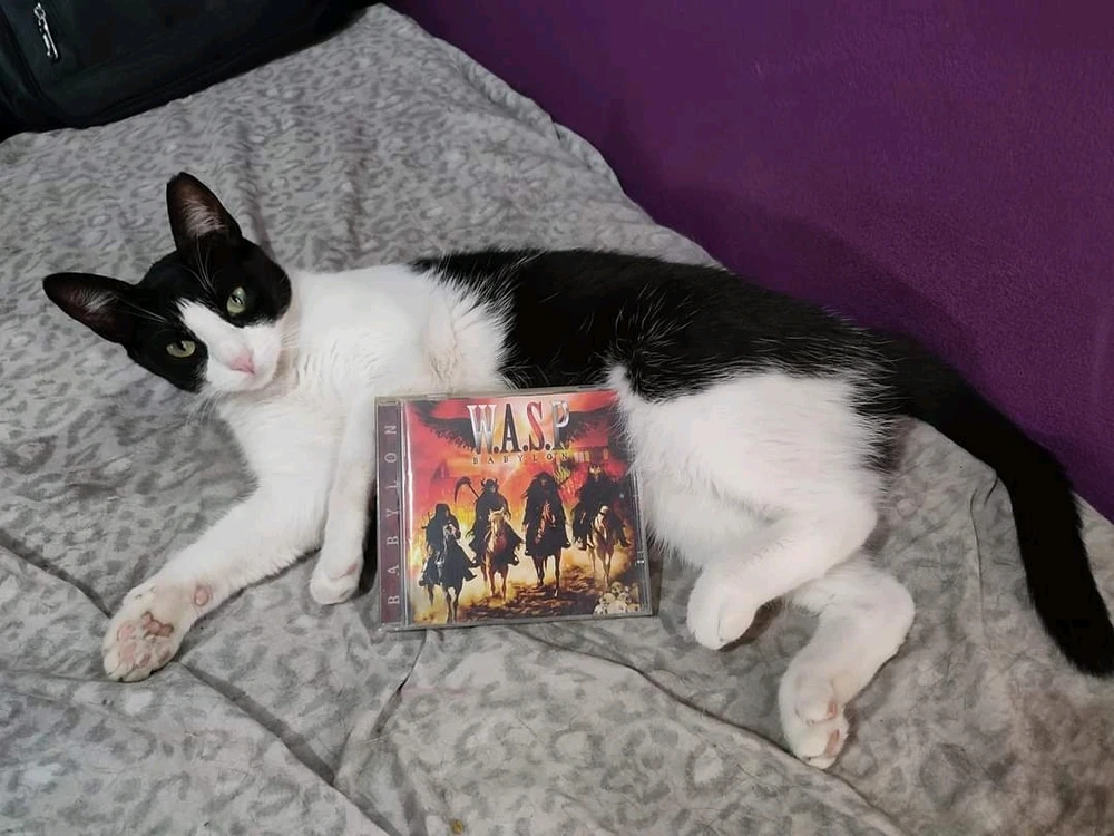 GIF uploaded by DezzieDee