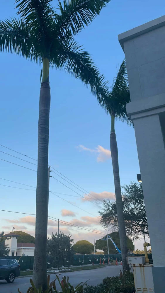 Image uploaded by Sage