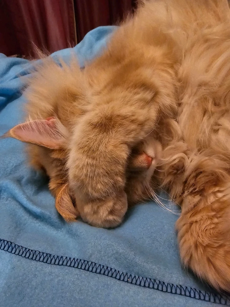 GIF uploaded by Michèlle