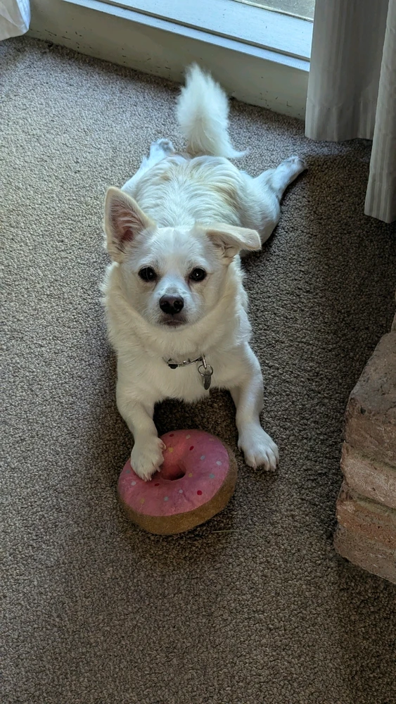 GIF uploaded by Chris