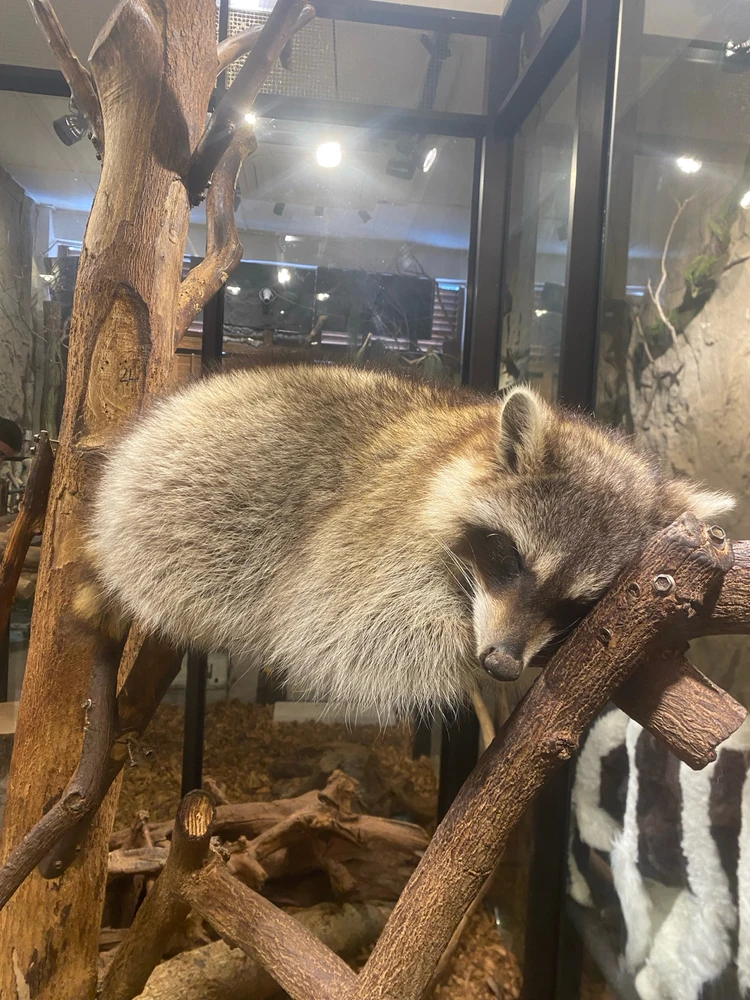 Image uploaded by Isabella