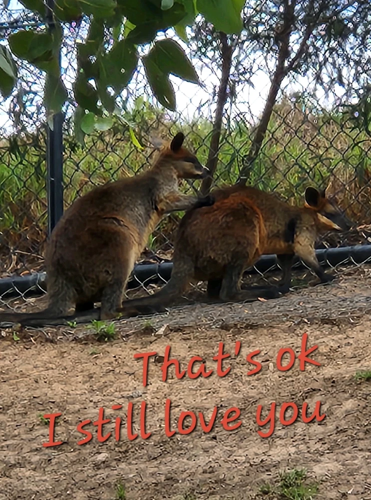 GIF uploaded by Wayne