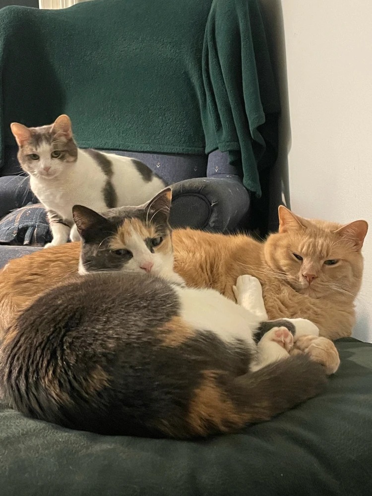 Image uploaded by Robbie