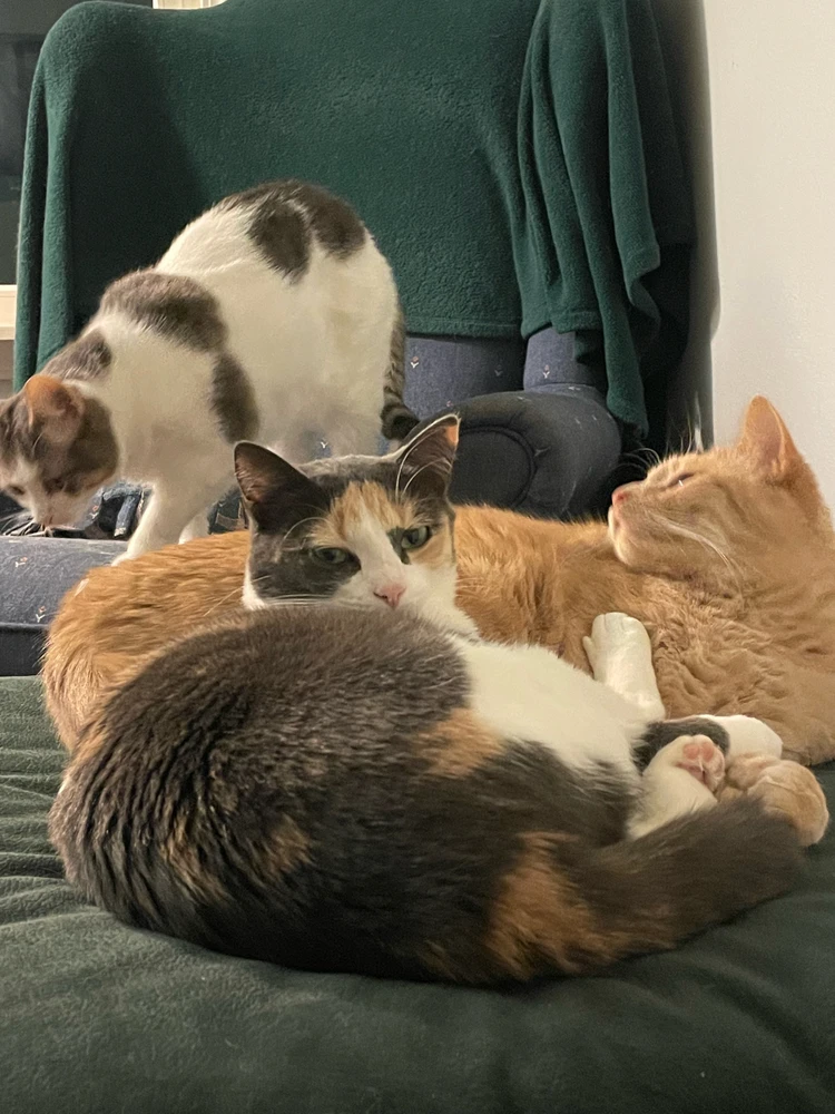 Image uploaded by Robbie