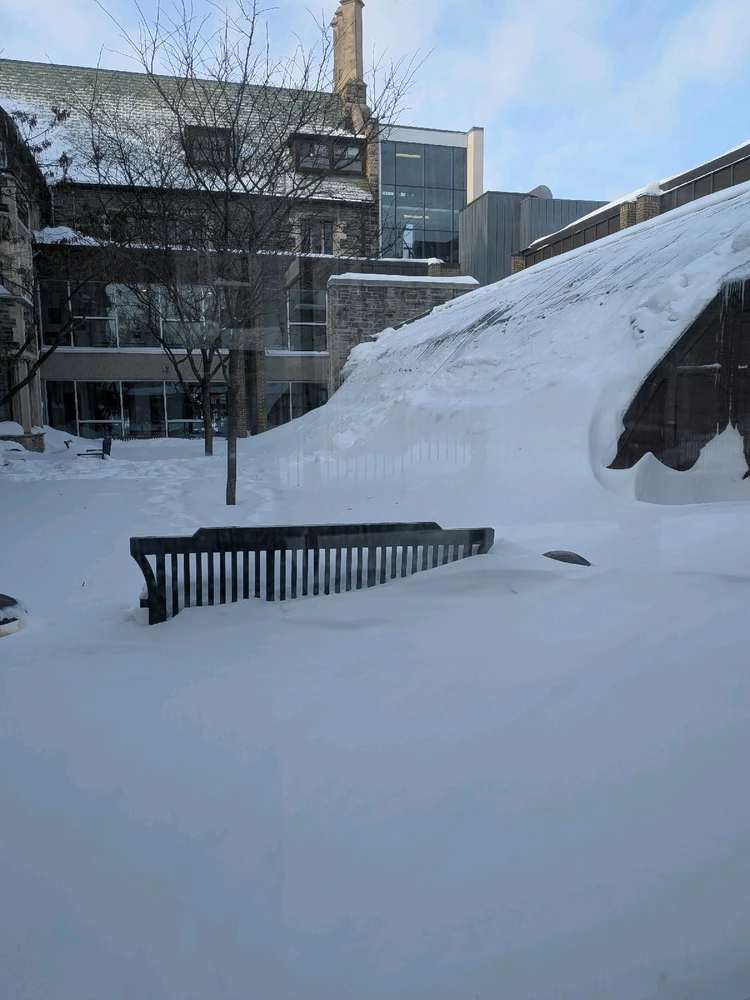 Image uploaded by Michele