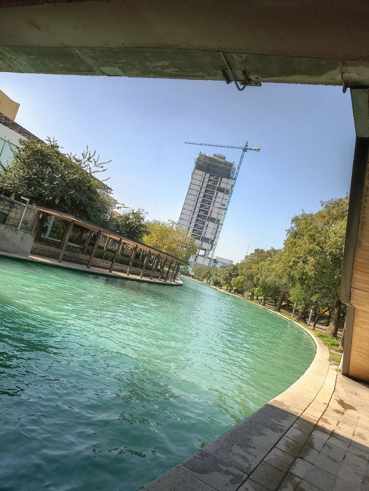 GIF subido por WALT GALL