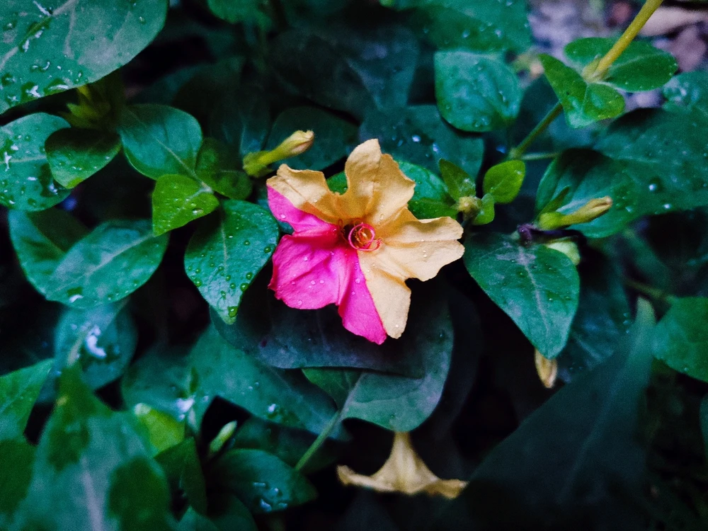 GIF uploaded by sebastian