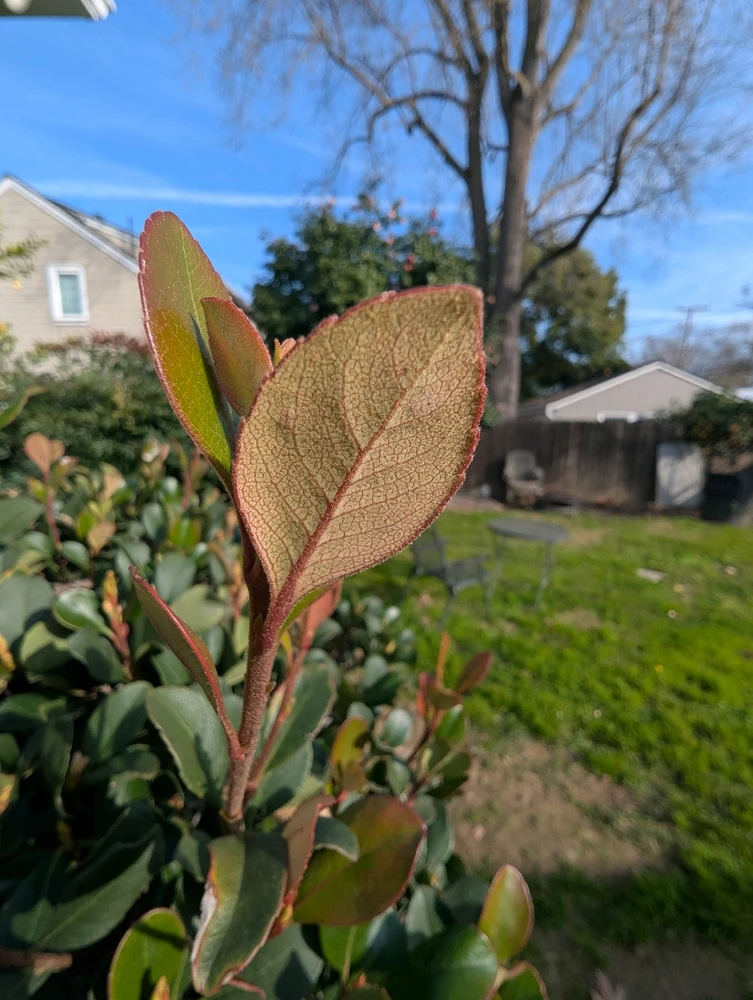 GIF diunggah dening Ben