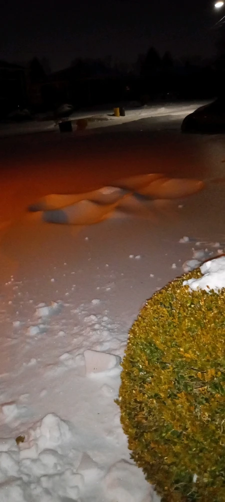 GIF uploaded by Jason 龙