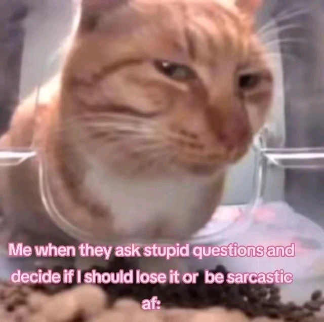 GIF diunggah dening 🦇𝐸𝓇𝒾