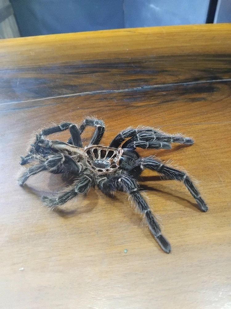 GIF uploaded by Tinah