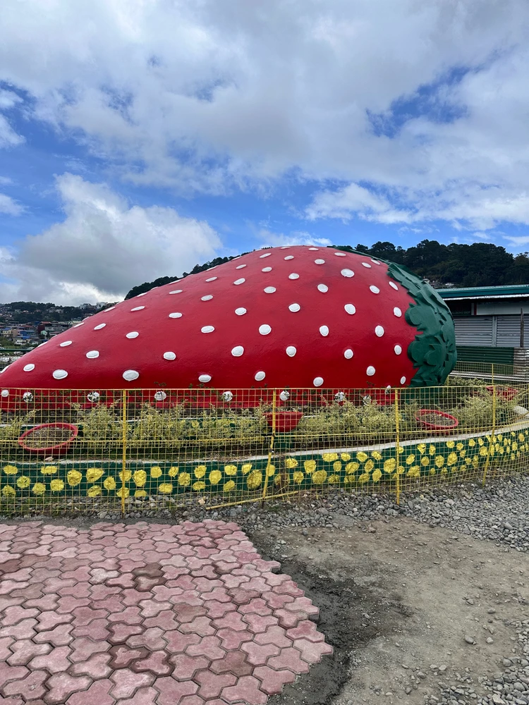 Image uploaded by fherrl